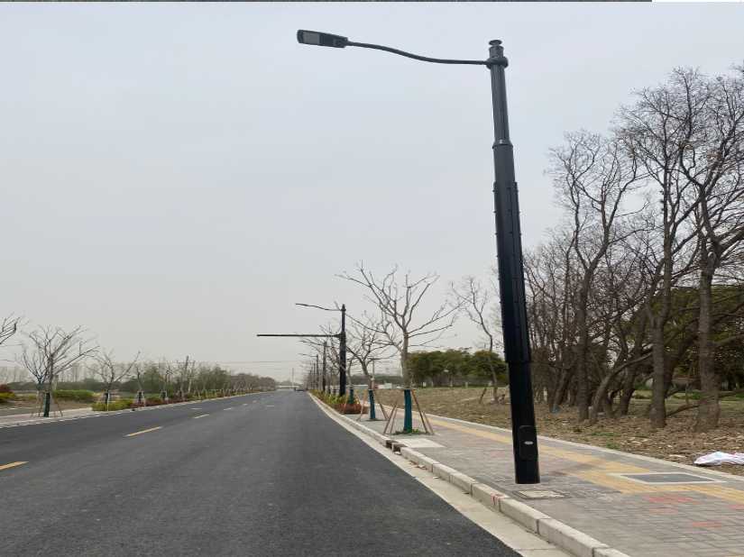 江阳区上海综合杆 太阳能路灯工程